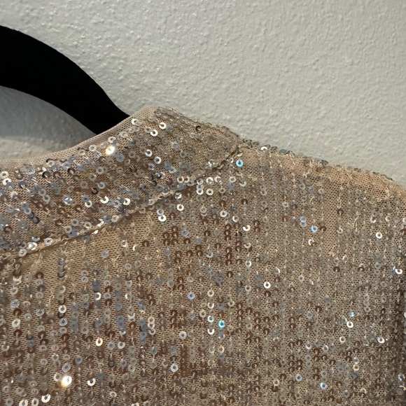 H&M Champagne with Silver Sequin Dress XXL - Picture 4 of 10